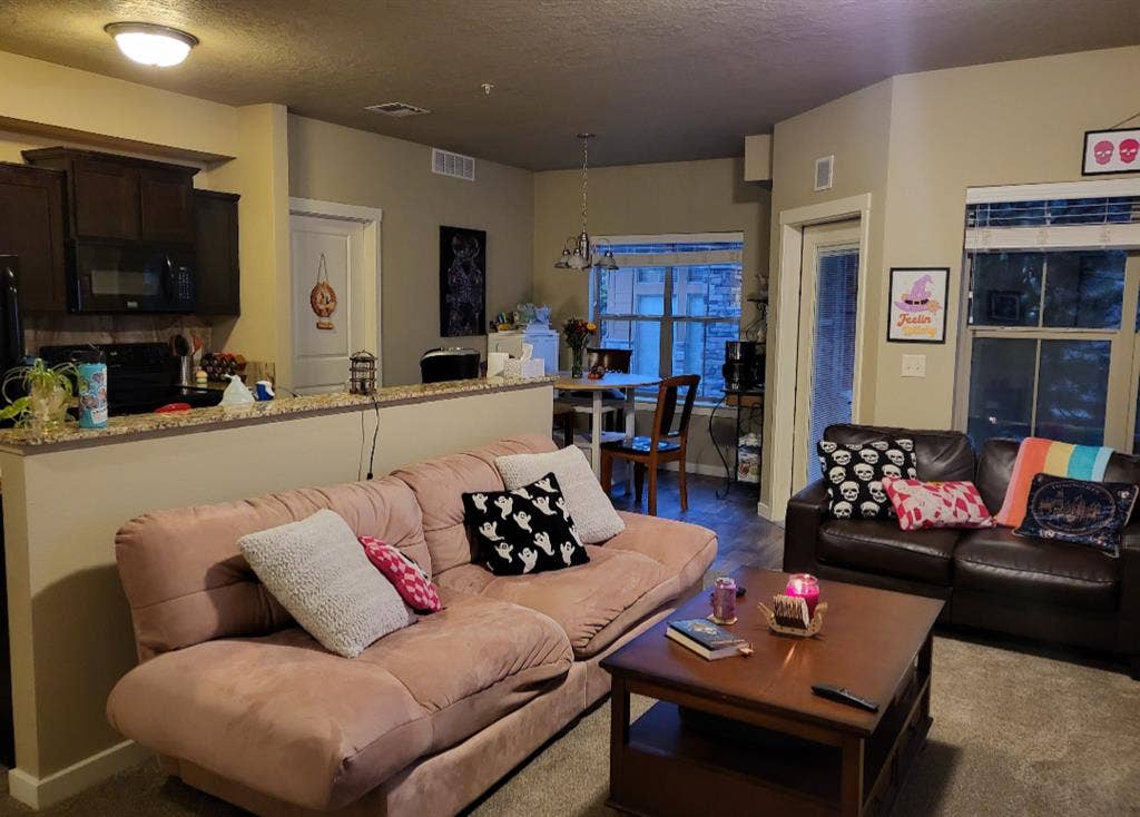 Looking for a roommate!