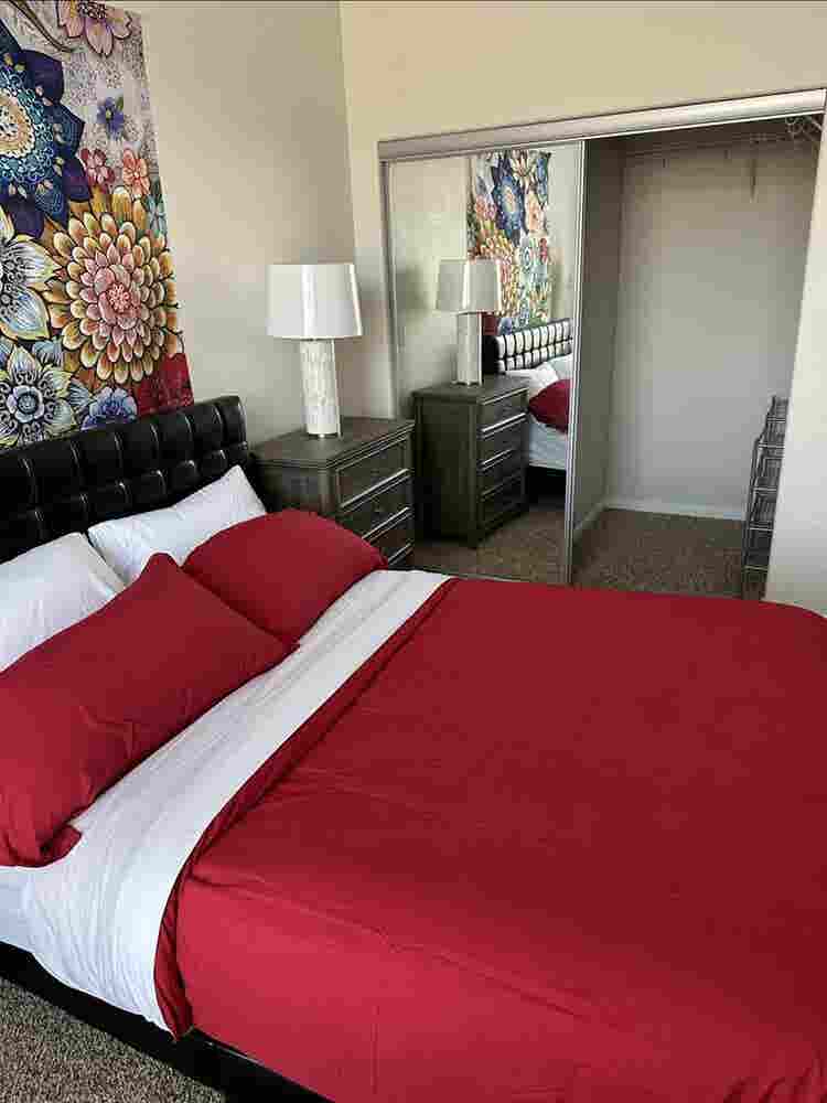 Large room w/priv. bath, Luxury Apt