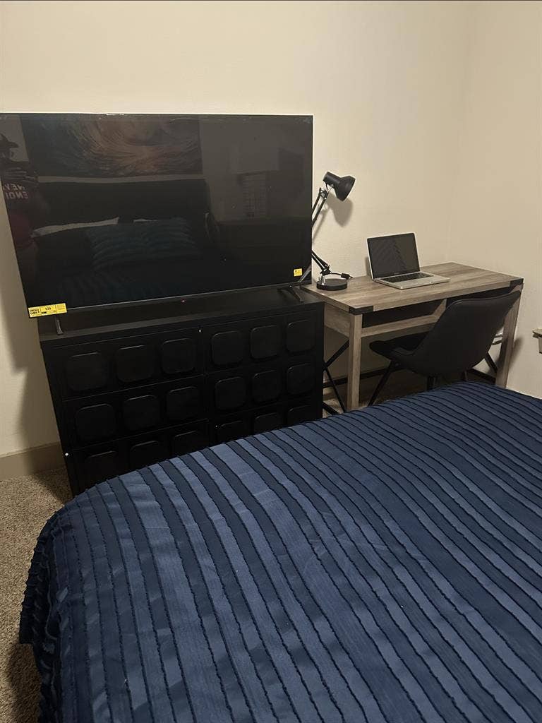 Large room w/priv. bath, Luxury Apt