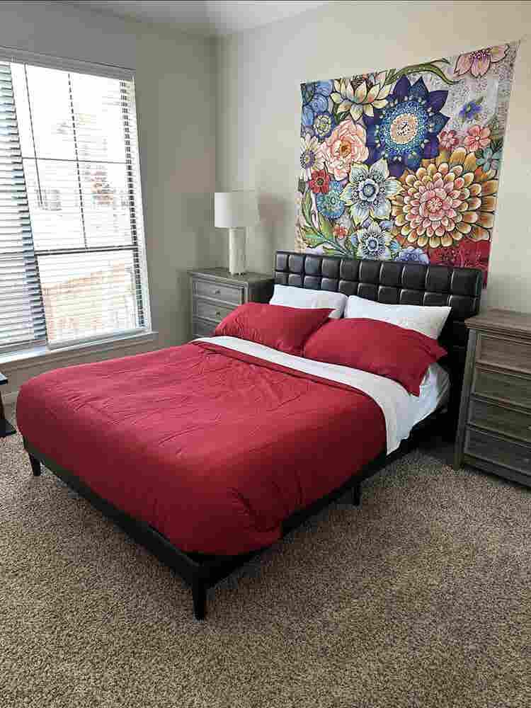 Large room w/priv. bath, Luxury Apt