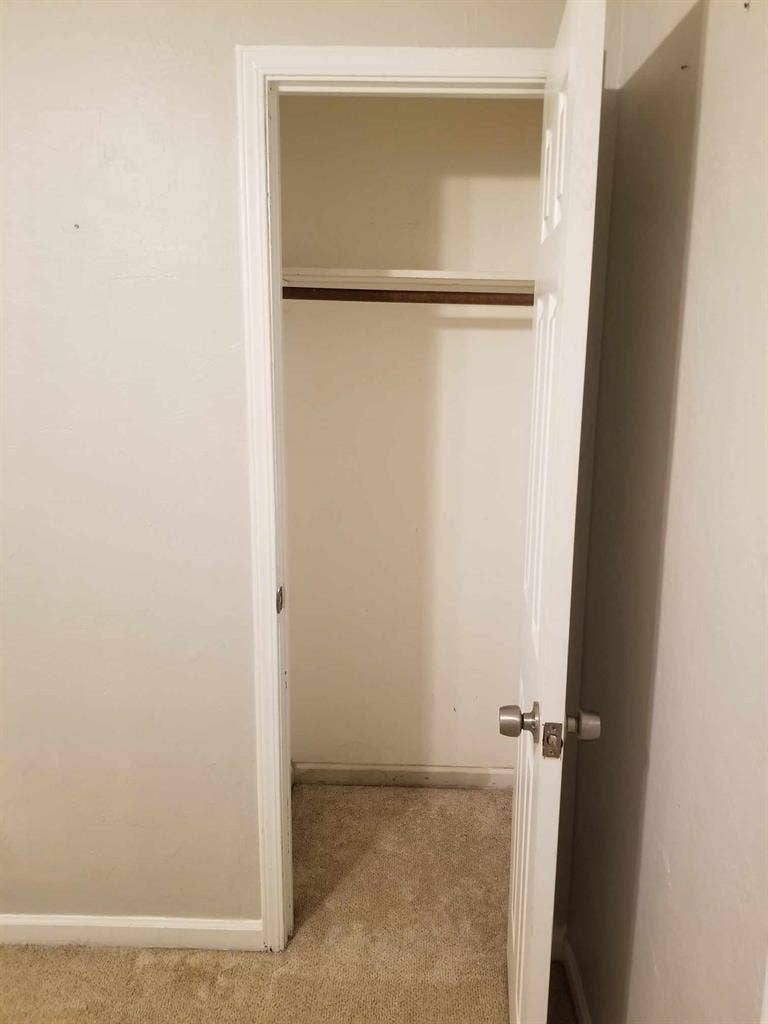 Looking for a roommate 😃