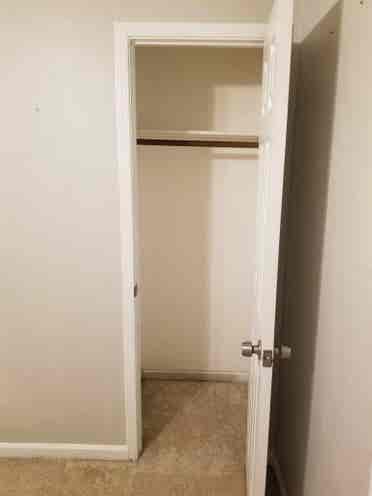 Looking for a roommate 😃