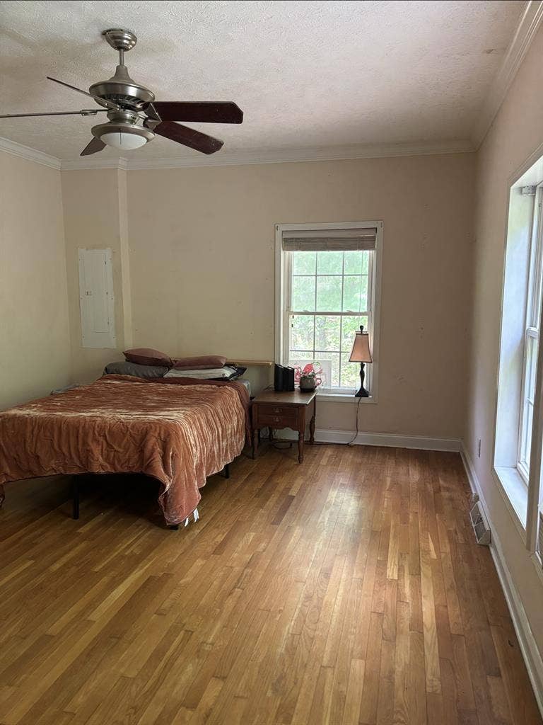 ROOM FOR RENT - Nature lover!