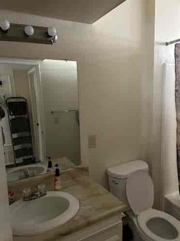 Magnificent Room for Rent