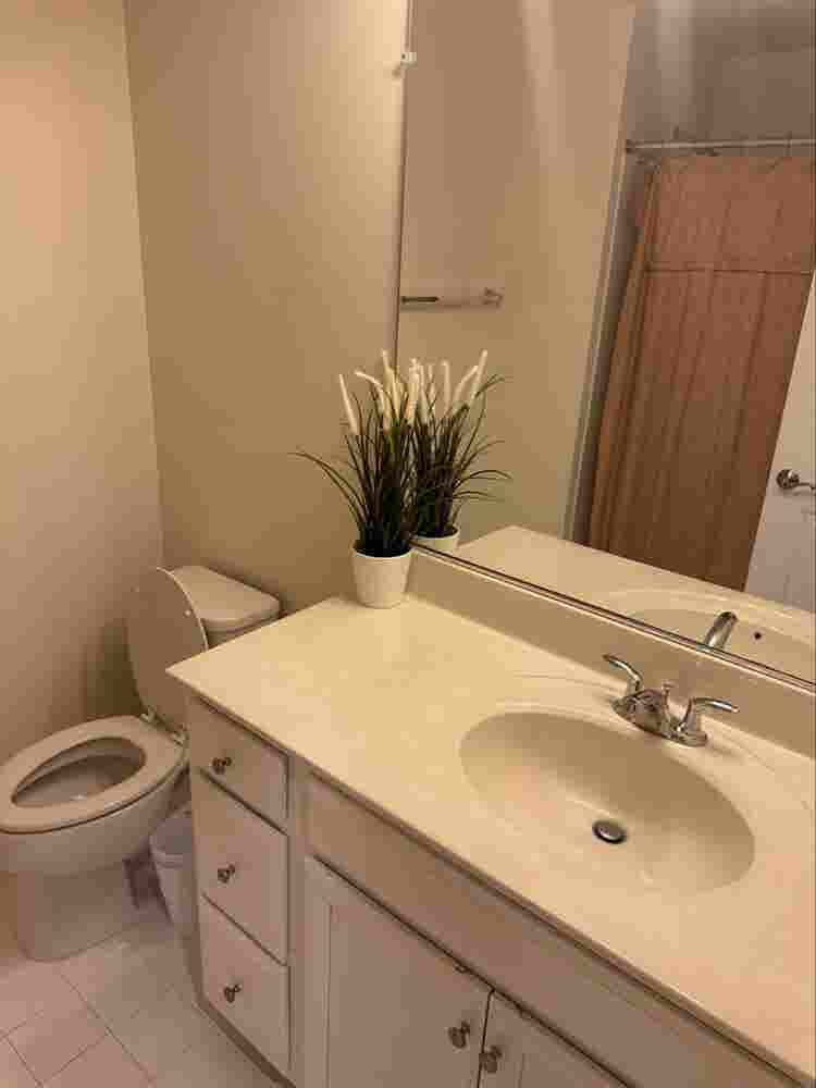 One bedroom with bath, furnish