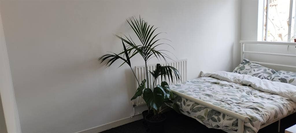 Double room Clapham £ per month
