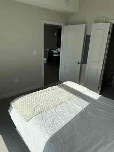 Cozy Apartment available in Tyson's