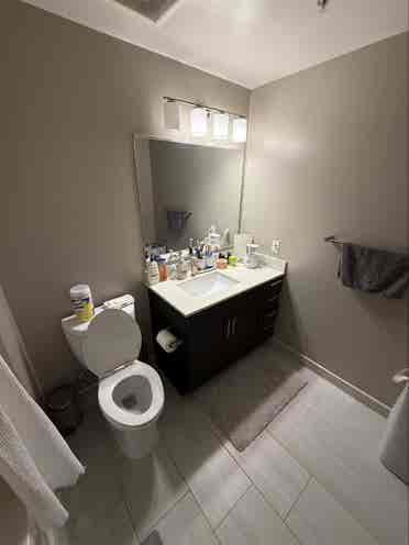 Cozy Apartment available in Tyson's