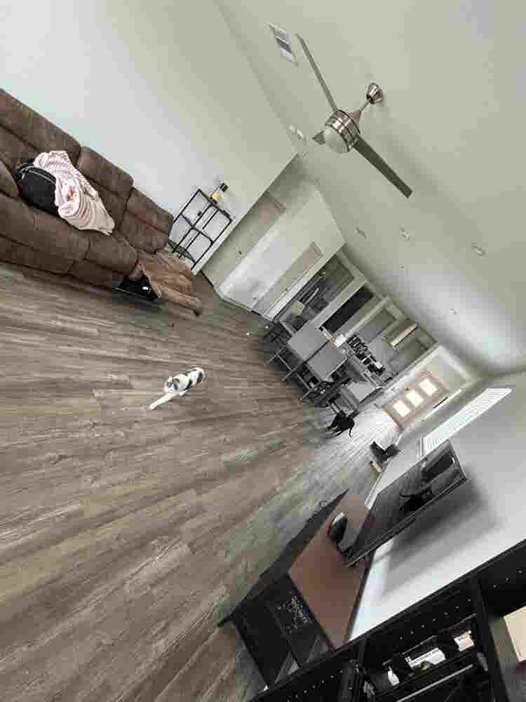 1BR for rent