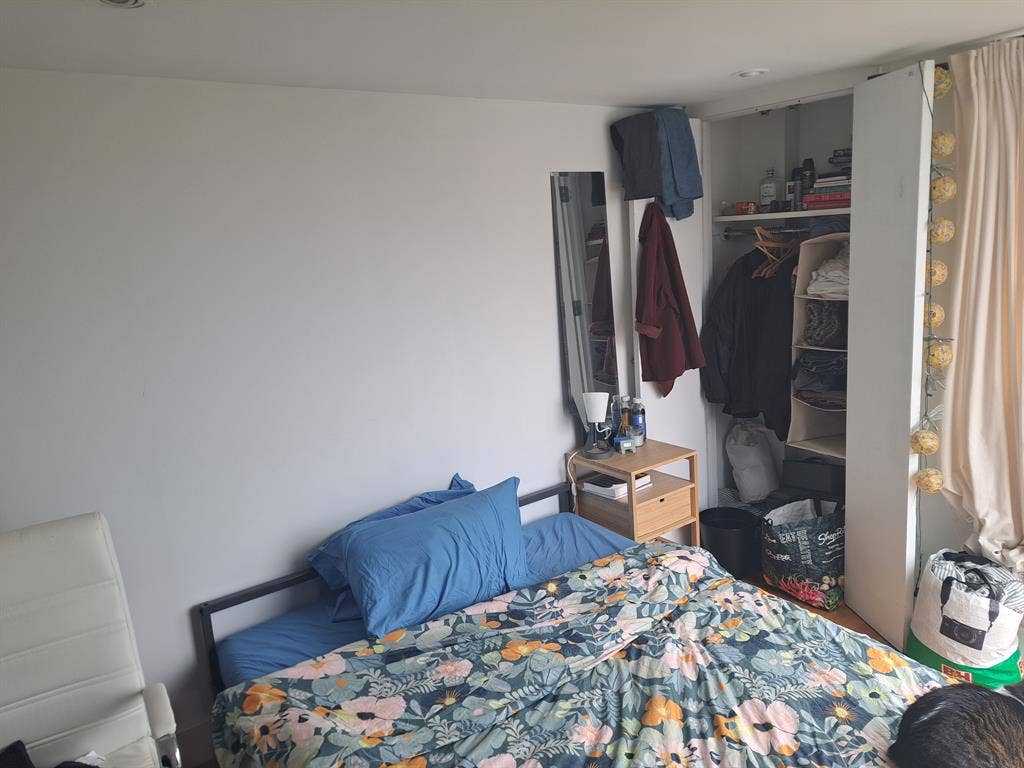 Amazing room in Greenpoint