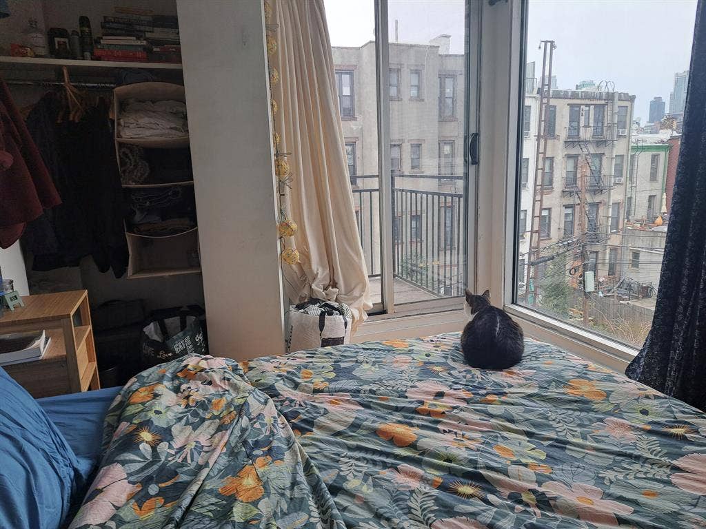 Amazing room in Greenpoint