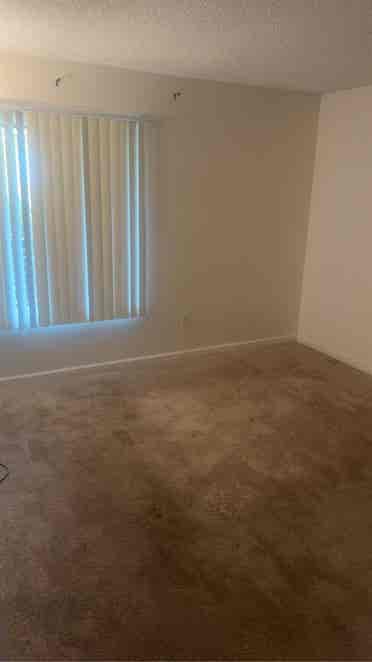 Looking rent out a room