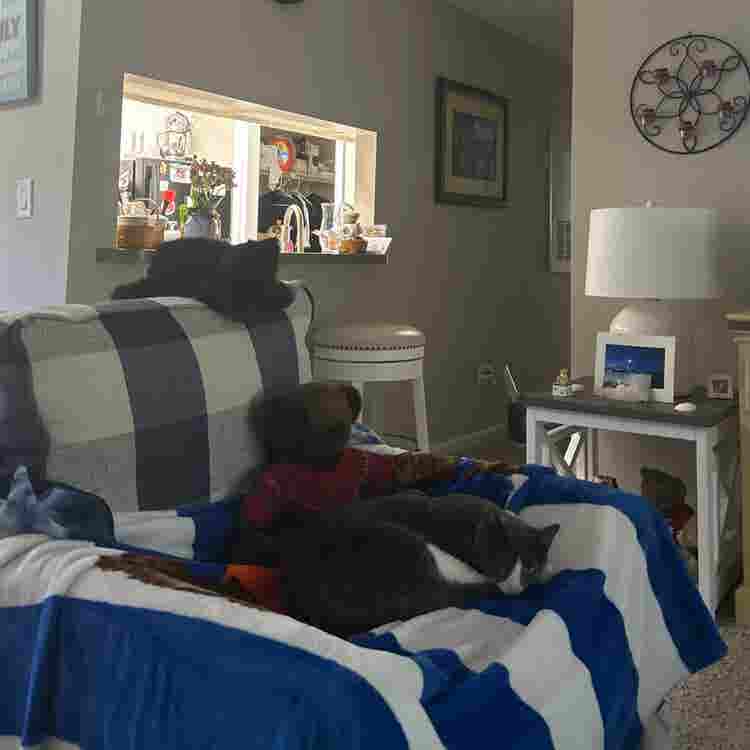 Looking for a responsible roommate