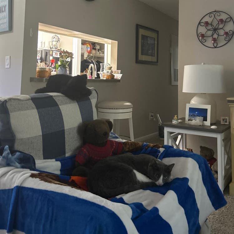 Looking for a responsible roommate
