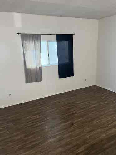 HUGE La Mirada room available NOW!