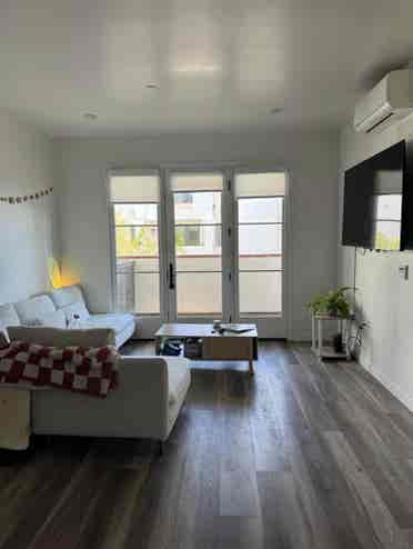 Sunny apartment, month to month