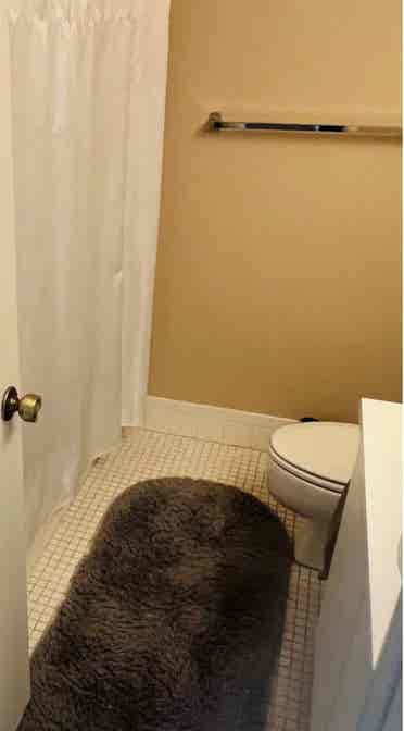 Private room and bath for rent
