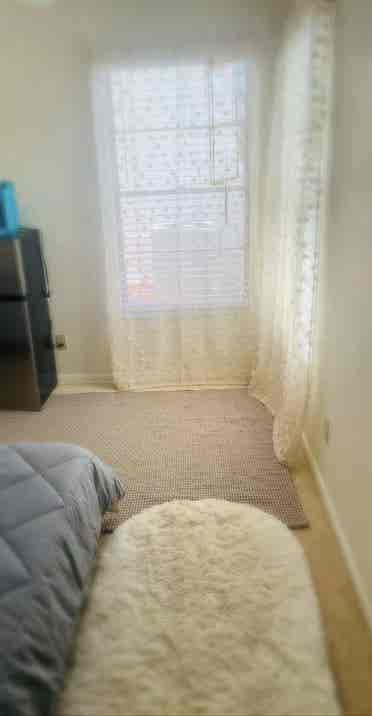 Private room and bath for rent