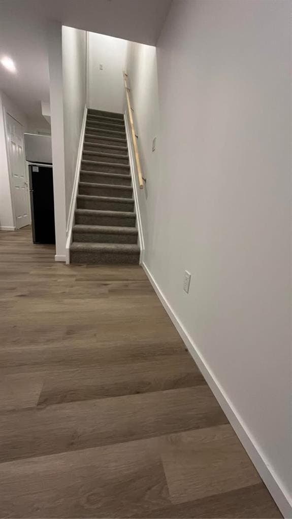 Basement for rent