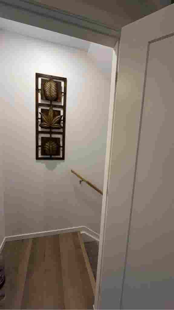 Basement for rent