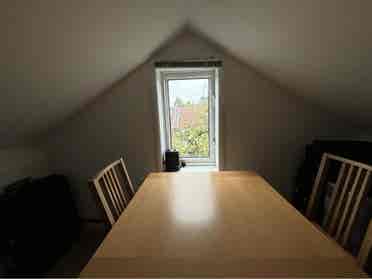 Vegan/Vegeterian home in Stratford