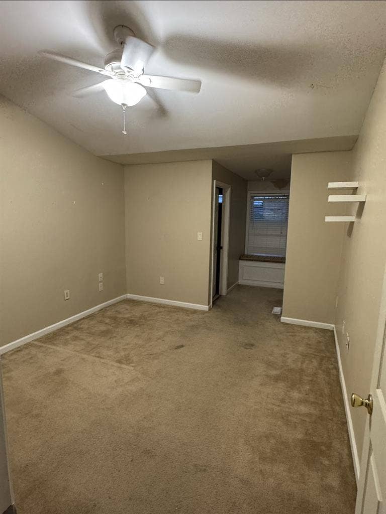 Roommate for house near campus