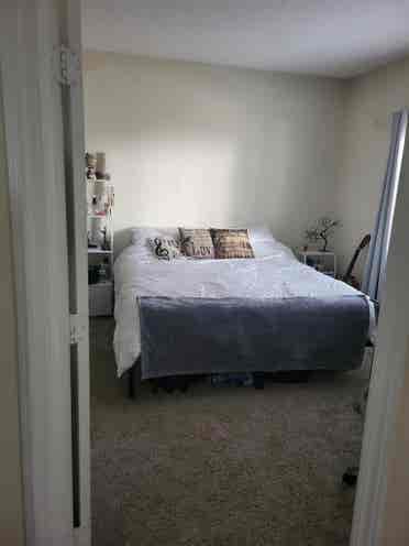 - looking for FEMALE ROOMMATE-