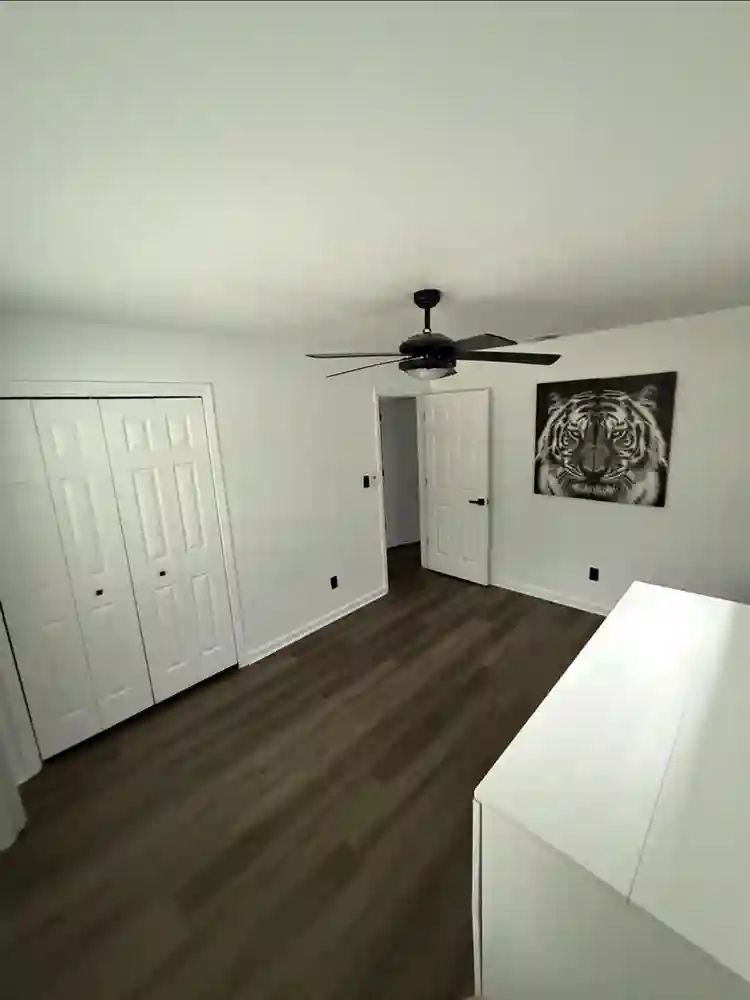 Newly Renovated Gem - 2 Open Rooms