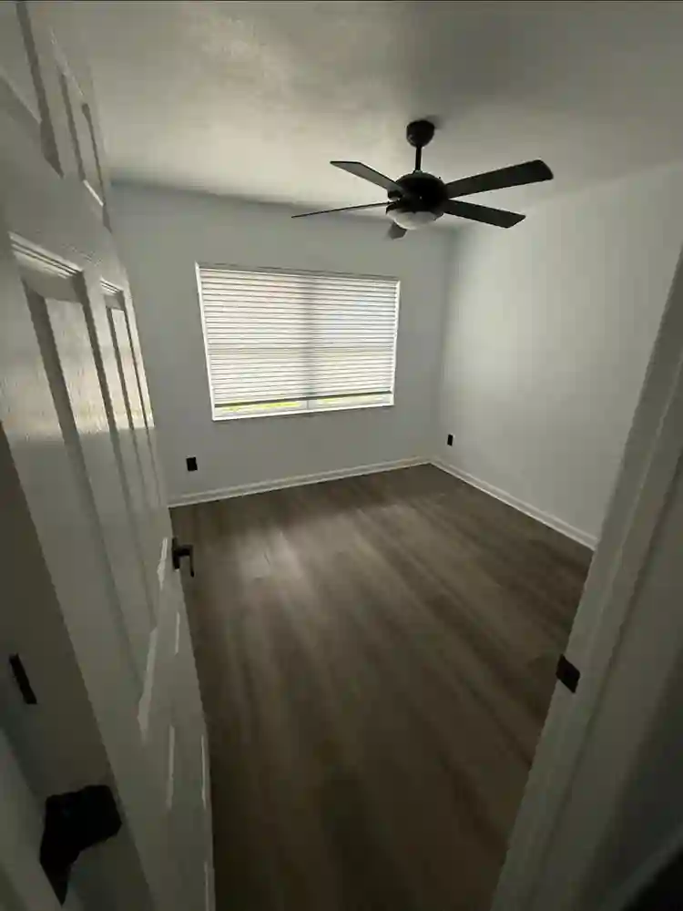 Newly Renovated Gem - 2 Open Rooms