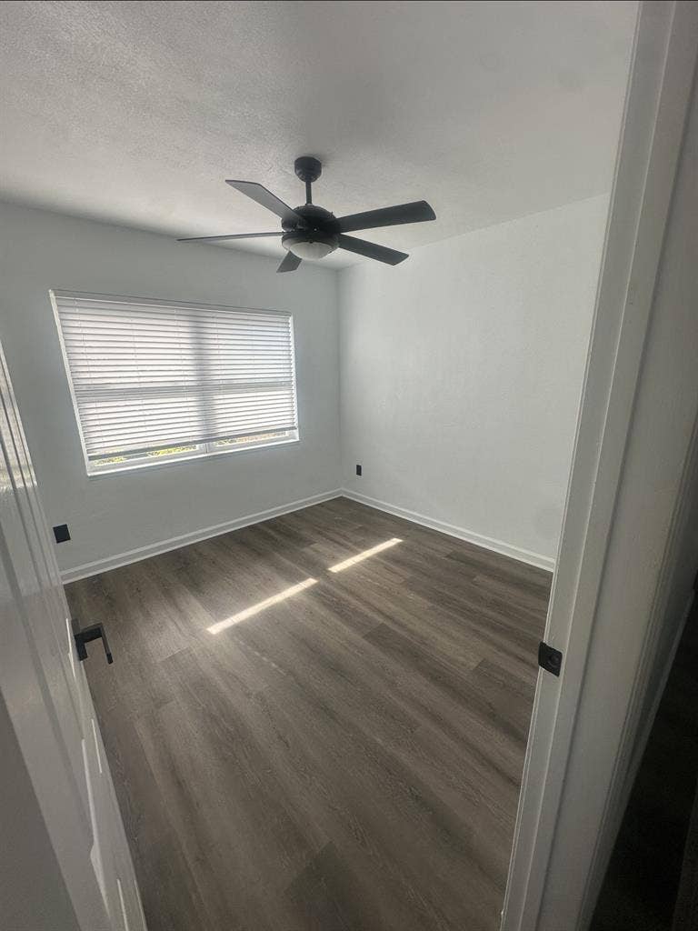 Newly Renovated Gem - 2 Open Rooms