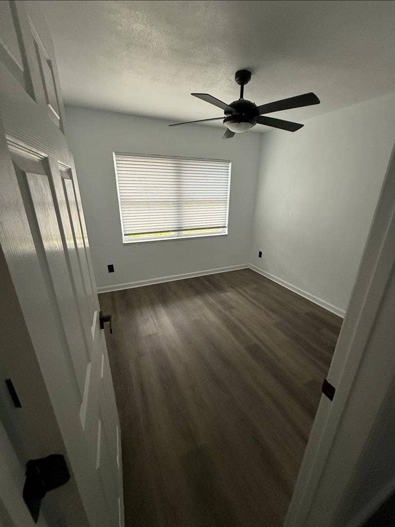 Newly Renovated Gem - 2 Open Rooms