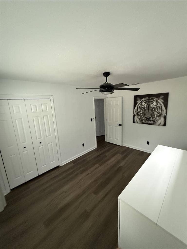Newly Renovated Gem - 2 Open Rooms