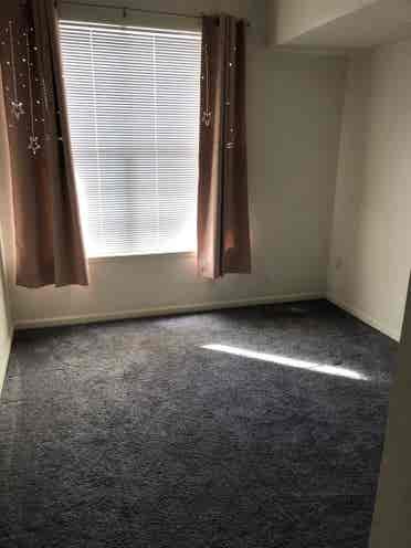 Looking for roommate/ furn room
