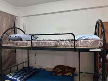 Looking for roommate.