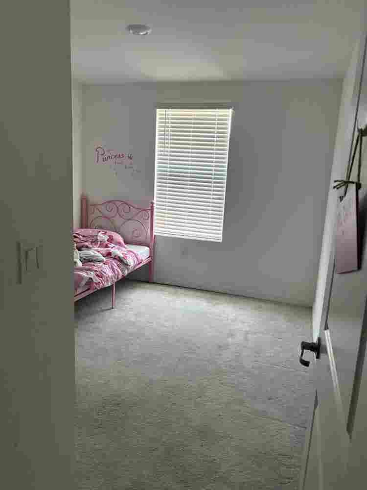 Looking for a roommate!