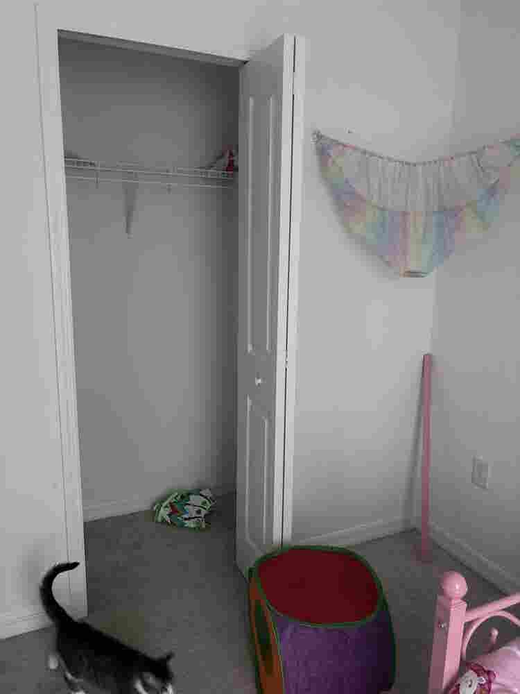 Looking for a roommate!