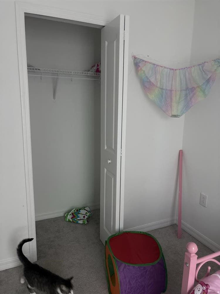Looking for a roommate!