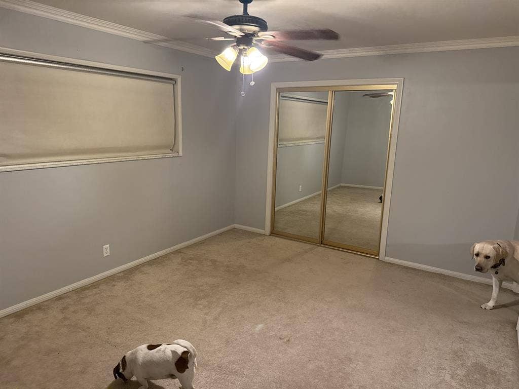 Room for rent in nice house