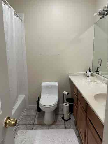 Looking for 2 new roomies!