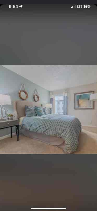 Looking for a roommate