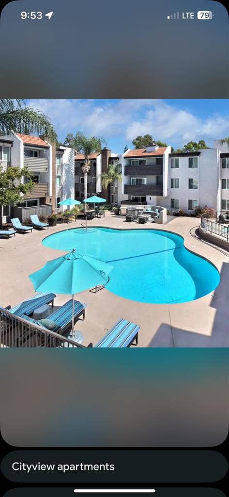 Looking for a roommate