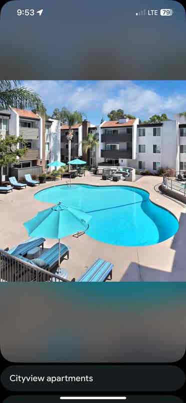 Looking for a roommate