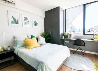 Studio Room for rent
