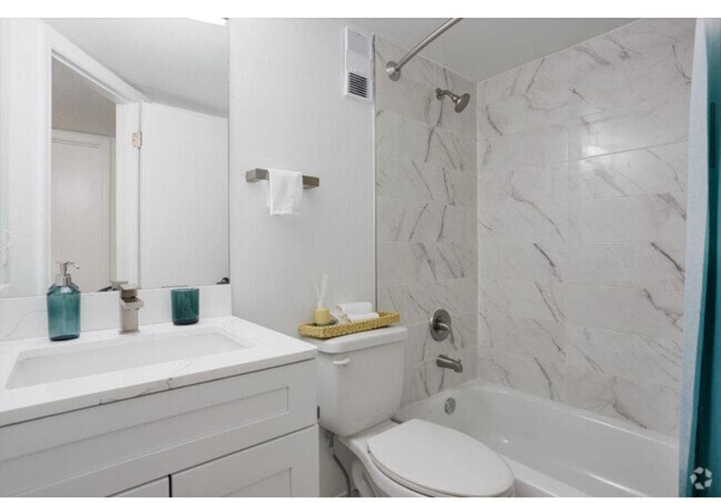 2 Young Men Looking for A Roommate