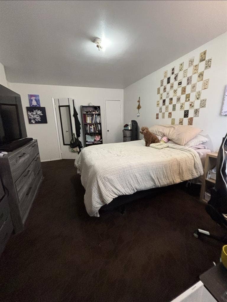 Seeking a subletter for room in Bx