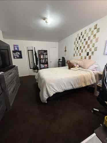 Seeking a subletter for room in Bx