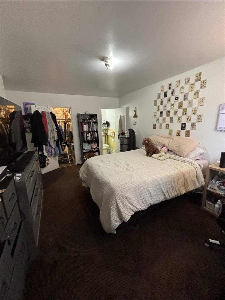 Seeking a subletter for room in Bx