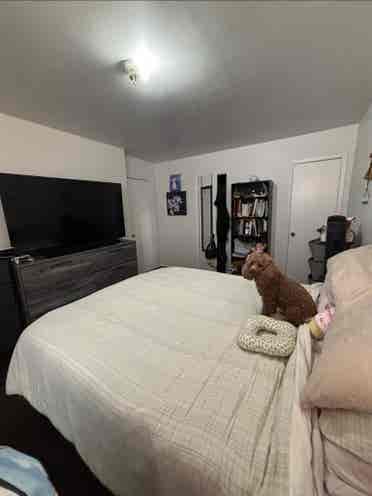 Seeking a subletter for room in Bx