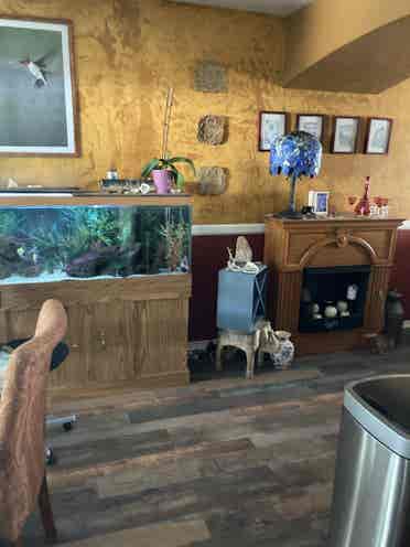 Charming spare room in Ogden