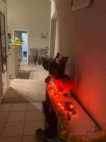 Furnished apartments for sublease